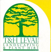t and h levai